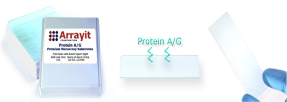 arrayit_protein-ag