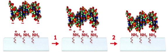 arrayit_superamine