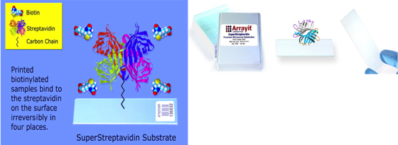 arrayit_superstreptavidin