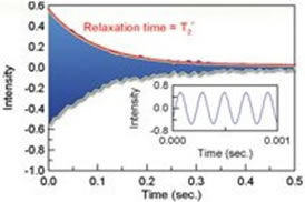 nano_nmr03